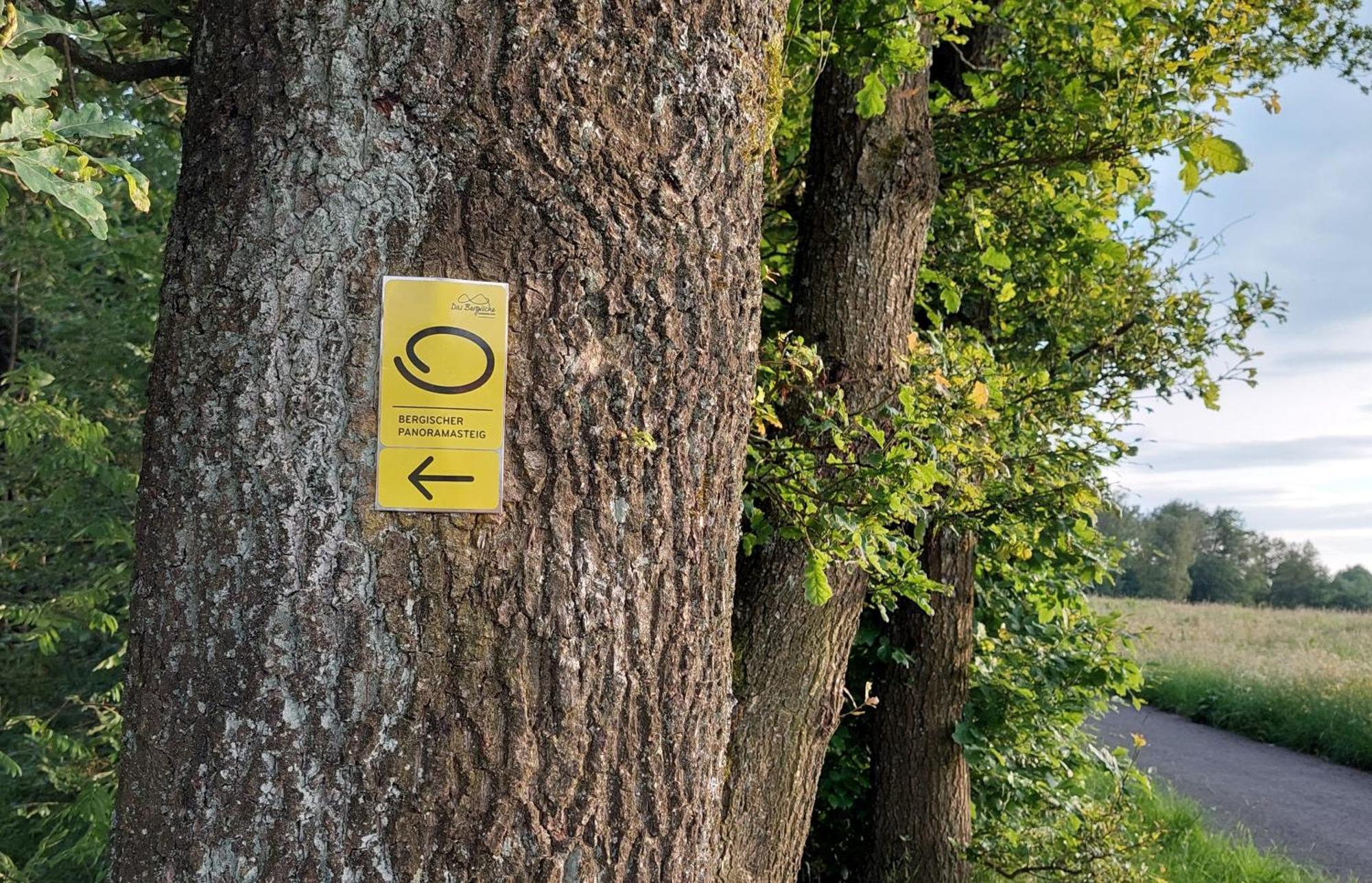 Ferienwohnung Waldbroel - Nahe Naturerlebnispark Waldbrol Exterior foto